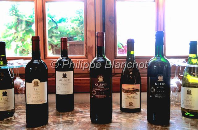 malte 17.jpg - Bouteilles de vin chez un viticulteurMeridiana wineMalte